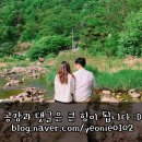 호산약국 이미지