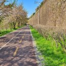 무궁화공원화장실(주차장) 이미지