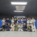파라에스트라가경본관