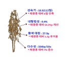 선유3배수펌프장 | 이모작용 콩 선유2호 밀식재배해야 좋아