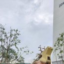 더샵올바른공인중개사사무소 이미지