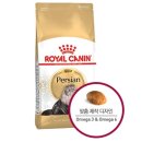 펫 다옴 이미지
