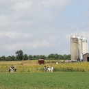 유명농장 이미지