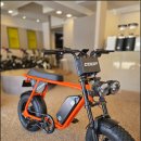 수원-0602 | 수원 곡반정동 전기자전거의 모든 것, 투휠스 프리미엄 스토어 방문 후기