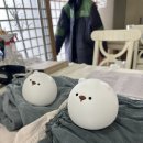 오덕전통된장 | [용주사] 서울에서 화성까지 간 템플스테이 체험형 기록