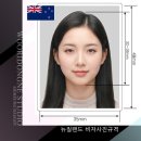 [배곧 우리동네사진관] 뉴질랜드 비자사진 규격&amp; 규정/배곧증명사진 여권사진