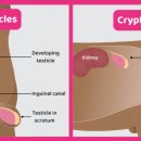 24시알파동물메디컬센터 이미지