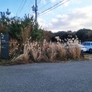 서광2교차로 3 이미지