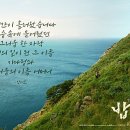 더참맛푸드 이미지