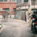 푸마농장 이미지