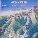 2011년 10월8~9일 용평리조트 발왕산 MTB 코스 번개라이딩합니다.[확정] 이미지