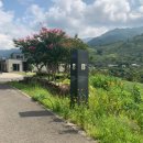 정금교 옆 이미지