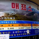정선에코리조트 이미지
