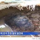 미천면-11 이미지