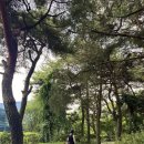 무심교옆 이미지