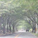 자연산장민박 이미지