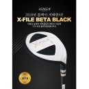 베타엑스(Beta X)