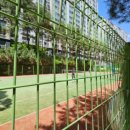 렉슬휘트니스 이미지