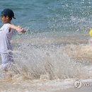 오늘 이미지