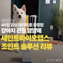 세건바이오 | 강아지 슬개골 영양제 세인트바이오랩스 조인트 솔루션 관절 관리 후기