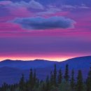 만물천하 이미지