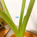 대덕대로242번길 | [일기] 2026. 02. 01