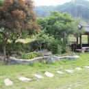 황룡뿌리(흑염소농장) 이미지