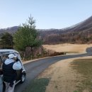 안성가 | [경기안성] 포웰 cc (오크힐, 비치힐) 라운드 후기~!!