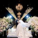 오르 | [본식스냅&amp;DVD] 오르비아트 예약후기 | 짝꿍할인(추천인)코드 / 엘로라인가든