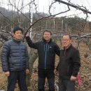 박용수농장 이미지