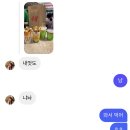 비타민은 다혜 이미지