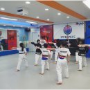석사 경희대 효 태권도 이미지