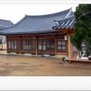 교동다원 이미지