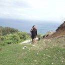 천해목장 이미지