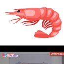 삼성항외과 이미지