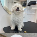 아로멍 이미지