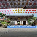 기내미재 | 2023년 8월 12일 비슬산자연휴양림-기내미재 &#34;Biseulsan(Mountain) on August 12, 2023&#34;