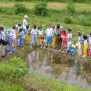 목포미항초등학교 이미지