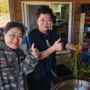 호령민박 이미지