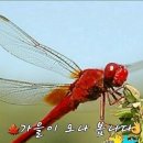 2024년 8월 30일 금요일 산사랑회 출석부 이미지