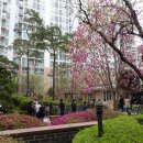 맑은아침아파트경로당 이미지