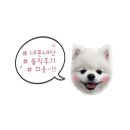 해피치즈스마일갈리단길점 이미지