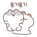 라임 P.T 이미지