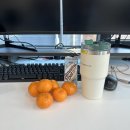 탑 PC방 청운점 | 11月21日-11月27日 | 또 시험.. 시험으로 끝나는 하반기, 신상 카페 상두 그레이도 다녀오고 여전히 잘...