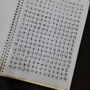 캘리그라피 (저녁반) (취미&자격증) 이미지