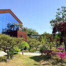 동산에너지 | [증평 여행] 벨포레 리조트 2박 3일 코스 총정리: 놀거리부터 주변 맛집·카페까지 내돈내산 솔직후기