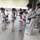 아이비 태권도장 이미지