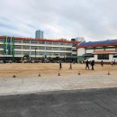 산호초등학교 이미지