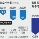 스텝셀 이미지