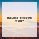 척추관리